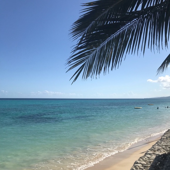 Meet your Posher, Vivian - Picture 1 of 3